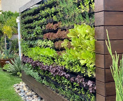 Vertical Garden Planning & Design